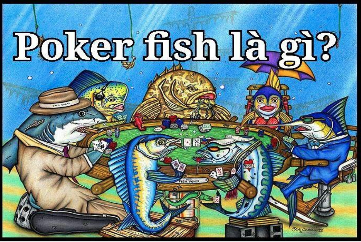 fish trong poker là gì