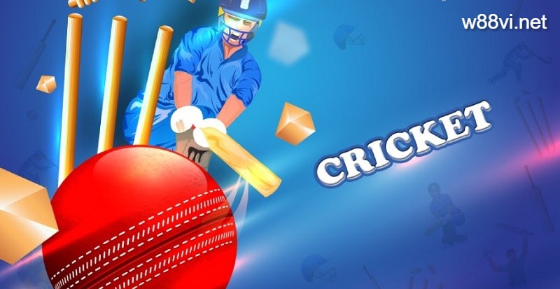 Tìm hiểu về cricket là môn thể thao gì?
