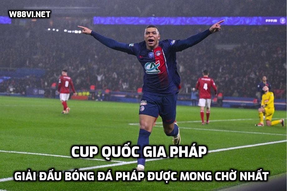 Cup Quốc gia Pháp